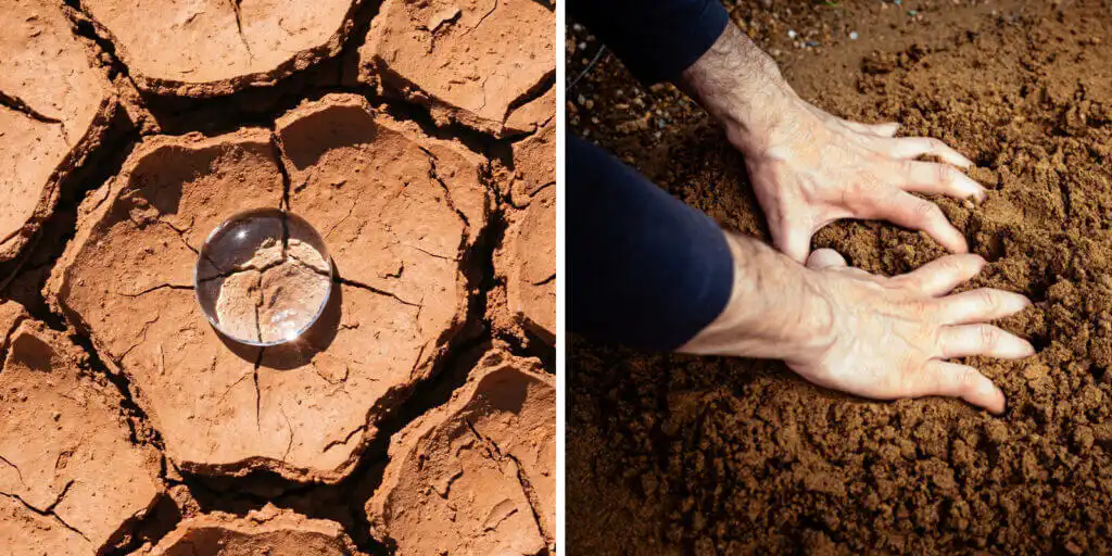 Comparaison mouillabilité de l'eau : goutte d'eau sur sol sec hydrophobe et infiltration dans un sol agricole meuble